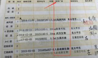 个人接种记录查询 怎样查个人打过的疫苗记录