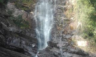 肇庆樱花节游玩攻略 肇庆七星岩旅游攻略