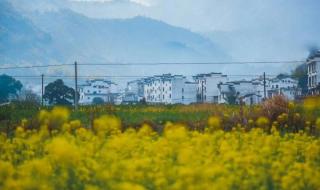 2021年春节江西庐山景区开放吗 江西景区恢复开放