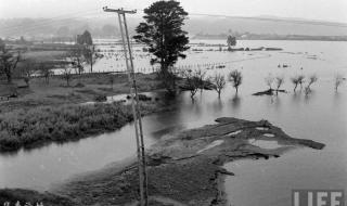109级地震海啸有多大 9.5级的地震有多可怕_
