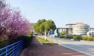 南京各大学开学时间 南京邮电大学继续教育学院